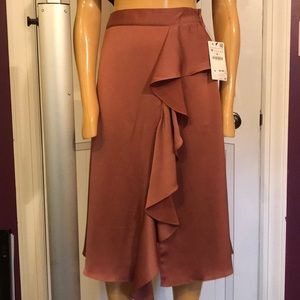 Zara Blush Midi Skirt